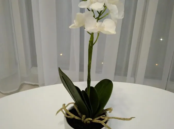 Astashkina Appartement Odessa