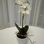 Astashkina Appartement Odessa
