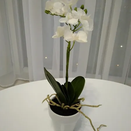 Astashkina Apartman Odessza